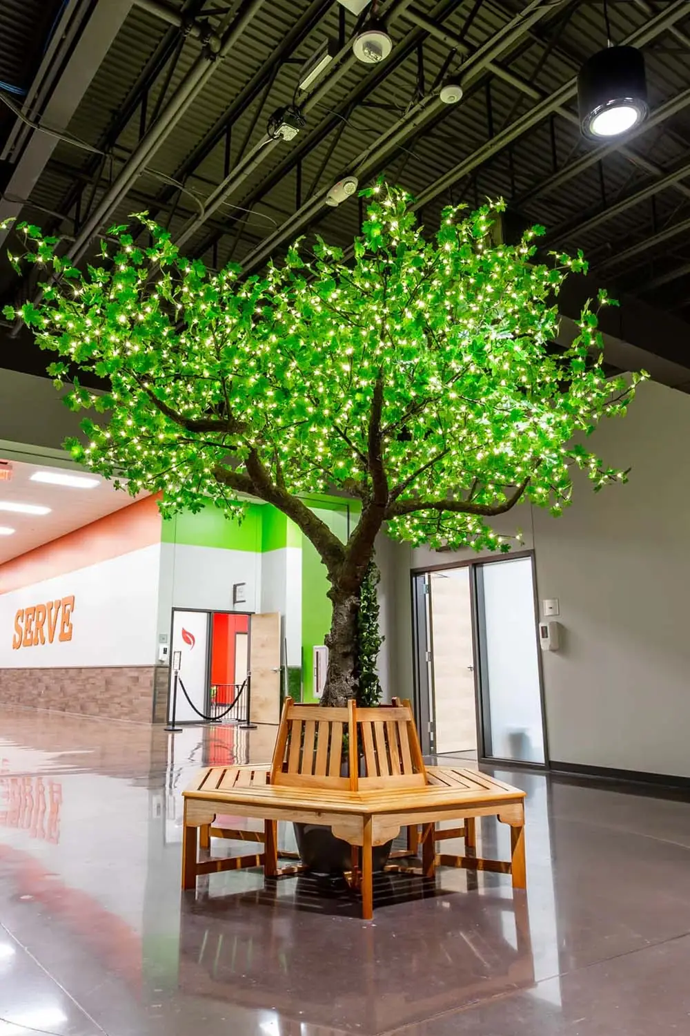 Indoor tree and bench seating in a church children's area